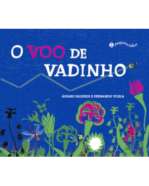 O VOO DE VADINHO