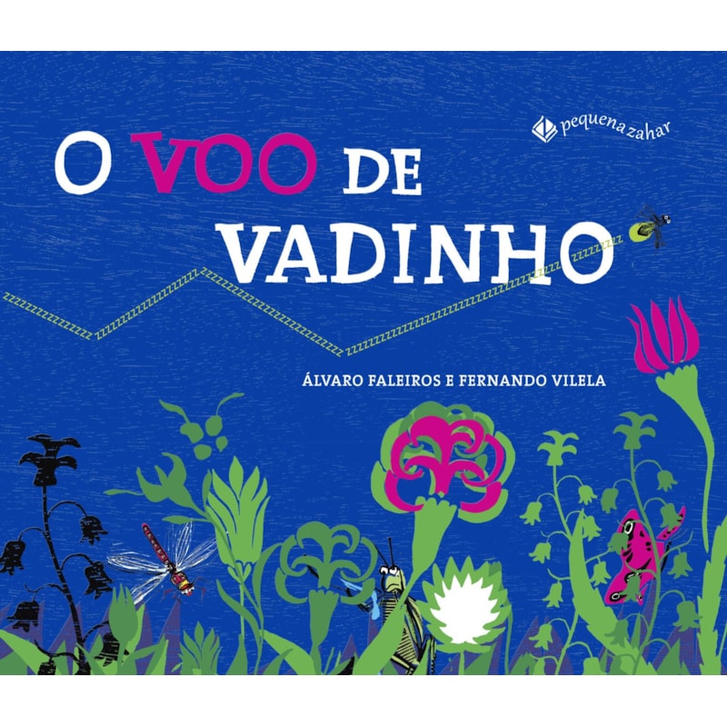 O VOO DE VADINHO