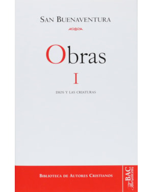 OBRAS I - SAN BUENAVENTURA