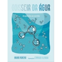 Odisseia da água: da geleira ao sertão