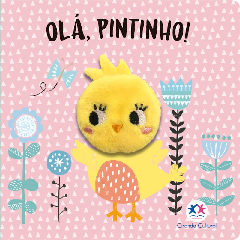 OLÁ, PINTINHO!