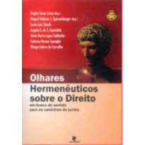 OLHARES HERMENEUTICOS SOBRE O DIREITO EM BUSCA DE SENTIDO PARA OS CAMINHOS