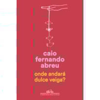 ONDE ANDARÁ DULCE VEIGA?: UM ROMANCE B