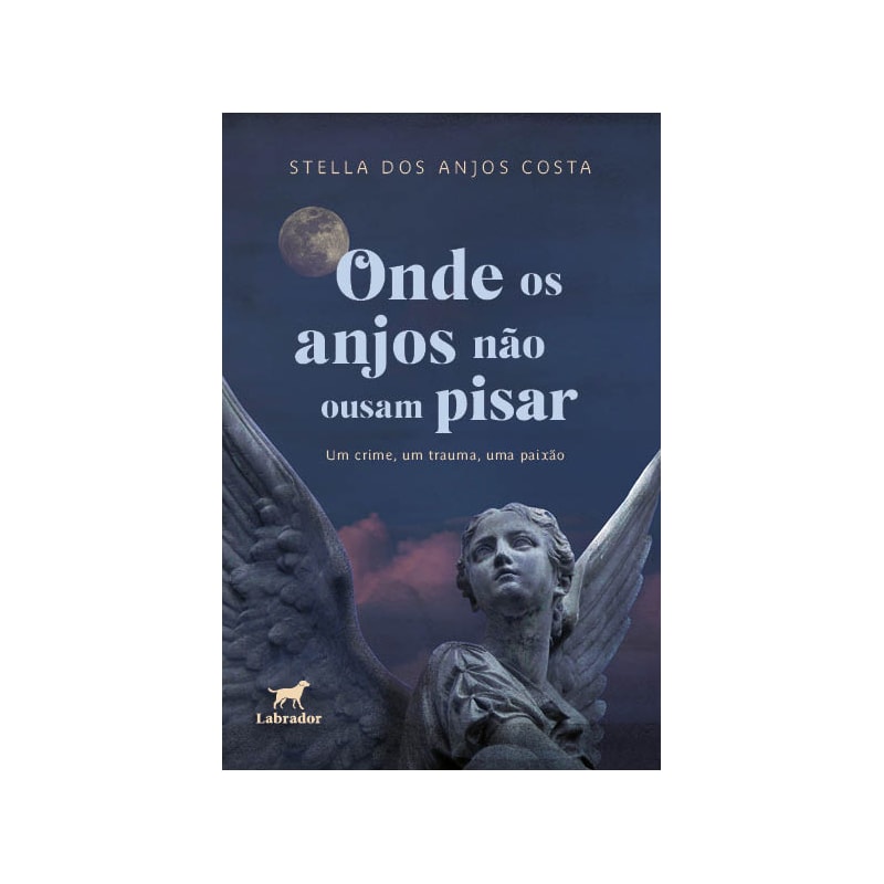 ONDE OS ANJOS NÃO OUSAM PISAR
