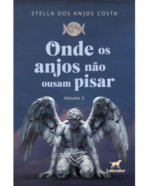 ONDE OS ANJOS NÃO OUSAM PISAR (VOLUME 2)