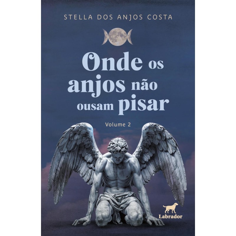 ONDE OS ANJOS NÃO OUSAM PISAR (VOLUME 2)
