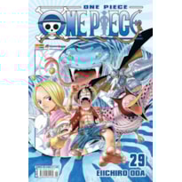 One piece vol. 29