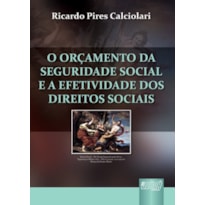 ORÇAMENTO DA SEGURIDADE SOCIAL E A EFETIVIDADE DOS DIREITOS SOCIAIS
