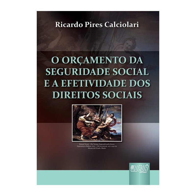 ORÇAMENTO DA SEGURIDADE SOCIAL E A EFETIVIDADE DOS DIREITOS SOCIAIS