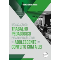 ORGANIZAÇÃO DO TRABALHO PEDAGÓGICO PARA REINSERÇÃO SOCIAL DO ADOLESCENTE EM CONFLITO COM A LEI