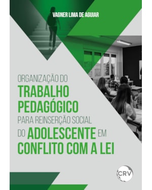 ORGANIZAÇÃO DO TRABALHO PEDAGÓGICO PARA REINSERÇÃO SOCIAL DO ADOLESCENTE EM CONFLITO COM A LEI