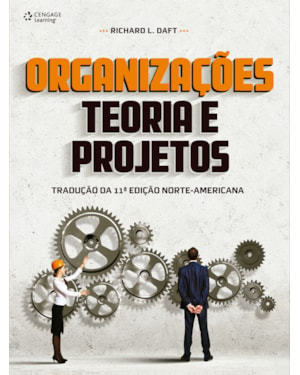 ORGANIZAÇÕES: TEORIA E PROJETOS