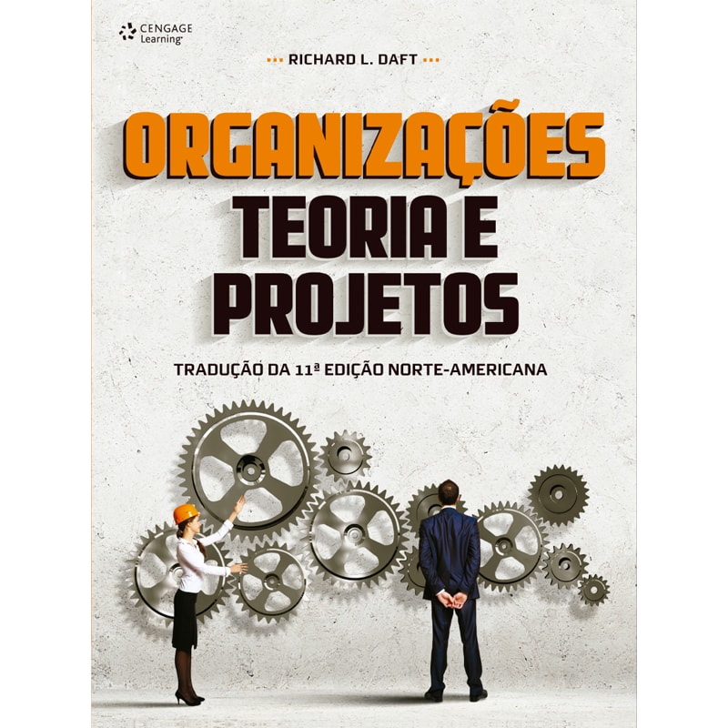 ORGANIZAÇÕES: TEORIA E PROJETOS