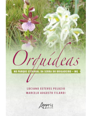 ORQUÍDEAS NO PARQUE ESTADUAL DA SERRA DO BRIGADEIRO - MG