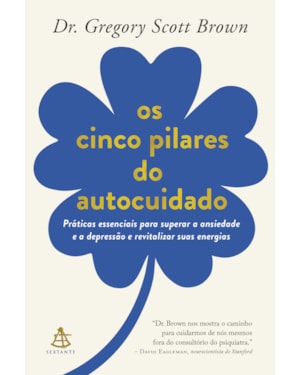 OS CINCO PILARES DO AUTOCUIDADO: PRÁTICAS ESSENCIAIS PARA SUPERAR A ANSIEDADE E A DEPRESSÃO E REVITALIZAR SUAS ENERGIAS