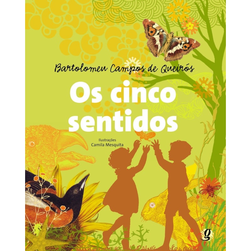Os cinco sentidos