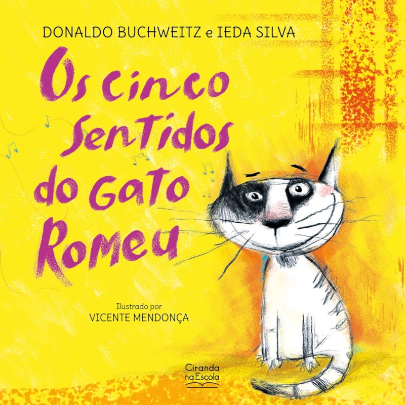OS CINCO SENTIDOS DO GATO ROMEU