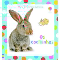 OS COELHINHOS : MEU PRIMEIRO LIVRINHO