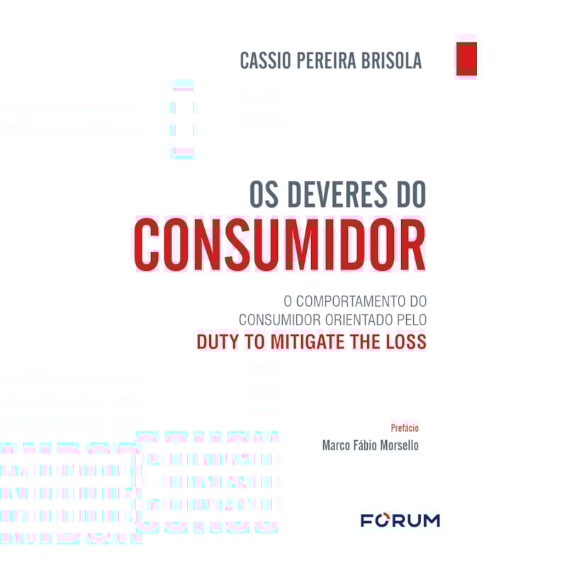 Os deveres do consumidor: o comportamento do consumidor orientado pelo duty to mitigate the loss