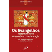 Os Evangelhos