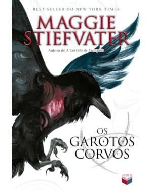 OS GAROTOS CORVOS (VOL. 1 A SAGA DOS CORVOS)