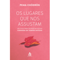 OS LUGARES QUE NOS ASSUSTAM: UM GUIA PARA DESPERTAR NOSSA CORAGEM EM TEMPOS DIFÍCEIS