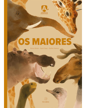 Os maiores