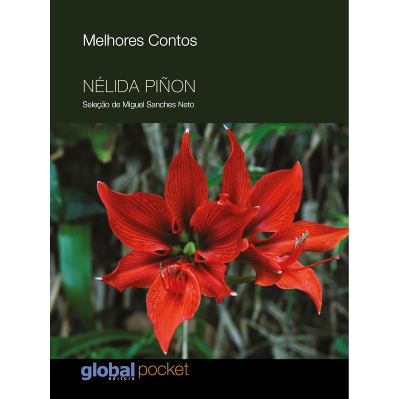 OS MELHORES CONTOS DE NÉLIDA PIÑON: SELEÇÃO DE MIGUEL SANCHES NETO