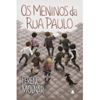 OS MENINOS DA RUA PAULO