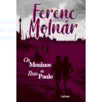 OS MENINOS DA RUA PAULO