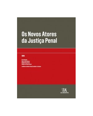 Os novos atores da justiça penal