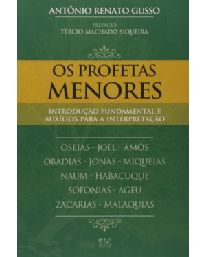 OS PROFETAS MENORES: INTRODUÇÃO FUNDAMENTAL E AUXÍLIO PARA INTERPRETAÇÃO