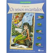OS SEIXOS ENCANTADOS