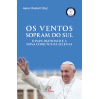 OS VENTOS QUE SOPRAM DO SUL: O PAPA FRANCISCO E A NOVA CONJUNTURA ECLESIAL