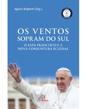 Os ventos que sopram do sul: o papa francisco e a nova conjuntura eclesial