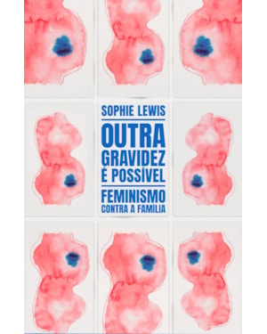 OUTRA GRAVIDEZ É POSSÍVEL