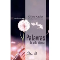 PALAVRAS DE VIDA ETERNA (BOLSO)