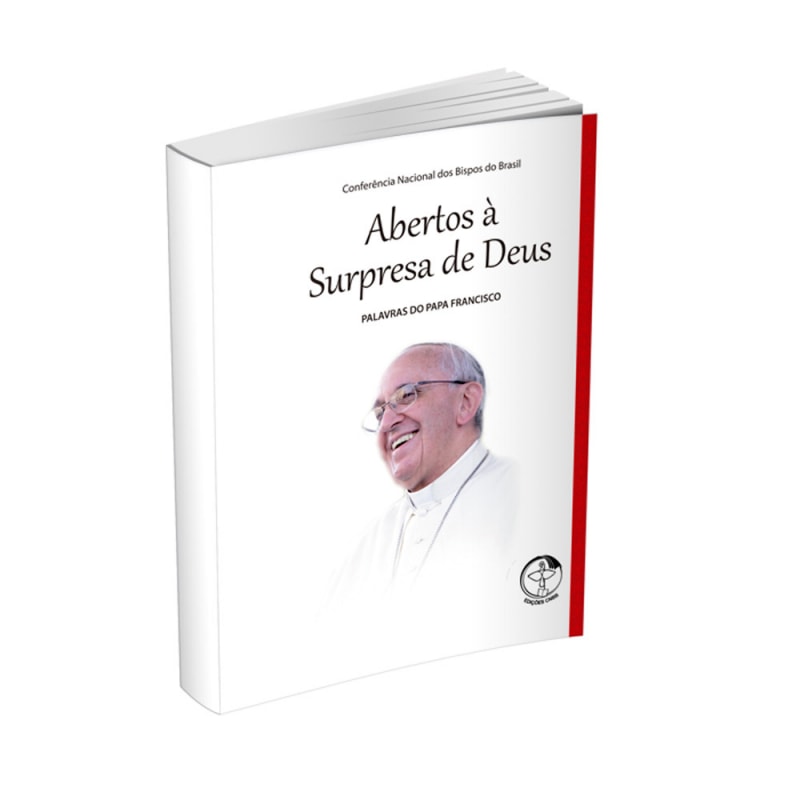 Palavras do papa francisco vol 11: abertos a surpresa de Deus