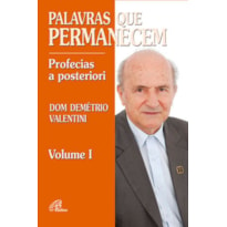 PALAVRAS QUE PERMANECEM: PROFECIAS A POSTERIORI - VOLUME 1