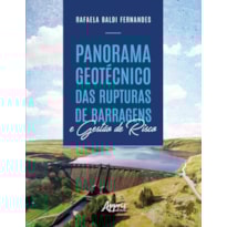 PANORAMA GEOTÉCNICO DAS RUPTURAS DE BARRAGENS E GESTÀO DE RISCO