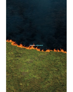 PANTANAL