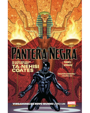 Pantera negra: vingadores do novo mundo - livro um