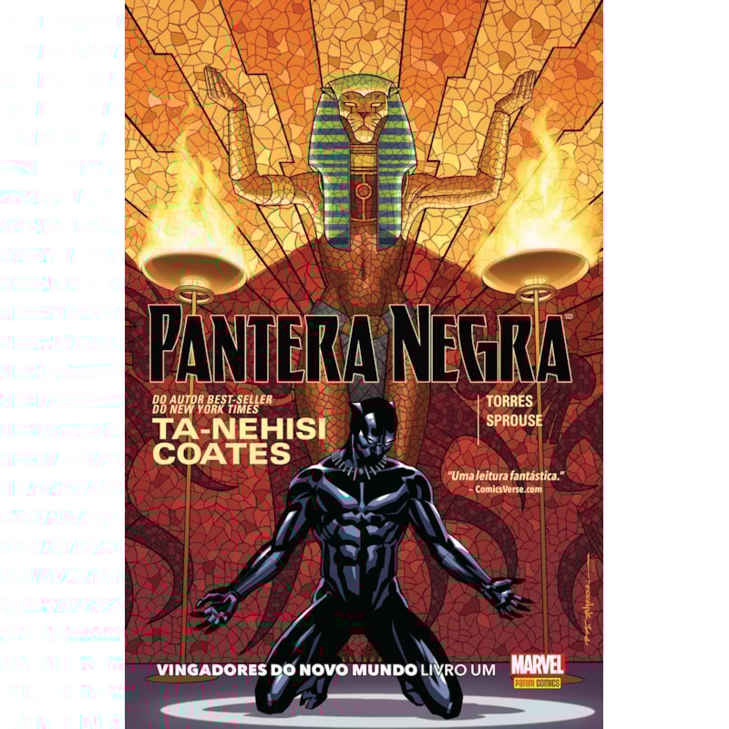 Pantera negra: vingadores do novo mundo - livro um