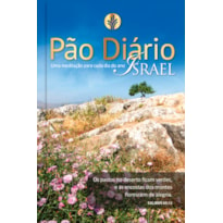 PÃO DIÁRIO VOL. 23 - ISRAEL - UMA MEDITAÇÃO PARA CADA DIA DO ANO