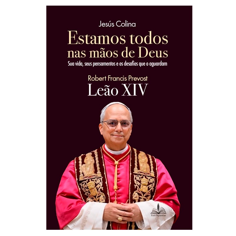 PAPA LEÃO XIV - ESTAMOS TODOS NAS MÃOS DE DEUS: SUA VIDA, SEUS PENSAMENTOS E OS DESAFIOS QUE O AGUARDAM