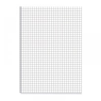 PAPEL ALMAÇO QUADRICULADO 1CMX1CM PACOTE COM 10 FOLHAS