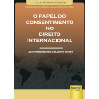 PAPEL DO CONSENTIMENTO NO DIREITO INTERNACIONAL, O - COLEÇÃO PARA ENTENDER - COORDENADOR DA COLEÇÃO: LEONARDO NEMER C. BRANT