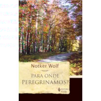 PARA ONDE PEREGRINAMOS? - VELHOS CAMINHOS E NOVAS METAS