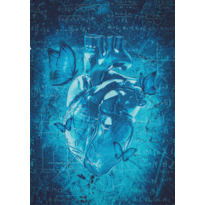 PARADOXO: Um dark romance entre dois ex-professores e uma aluna