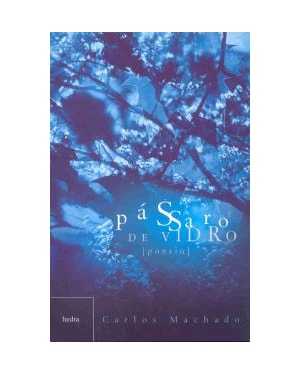 PASSARO DE VIDRO - 1